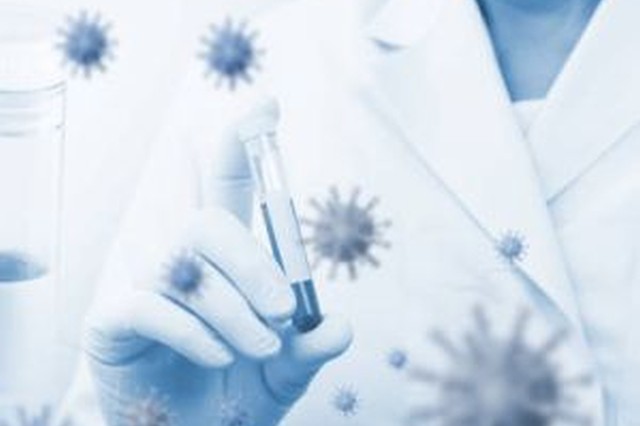 Estudios Psicot&eacute;cnicos